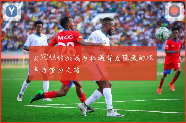 打NCAA的挑战与机遇背后隐藏的艰辛与努力之路