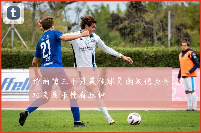 伦纳德三个月最佳球员谢泼德为何对乌度卡情有独钟