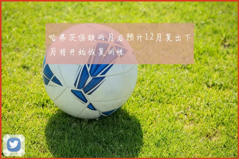 哈弗茨伤缺两月后预计12月复出下月将开始恢复训练