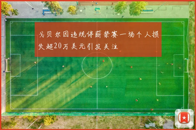 戈贝尔因违规停薪禁赛一场个人损失超20万美元引发关注