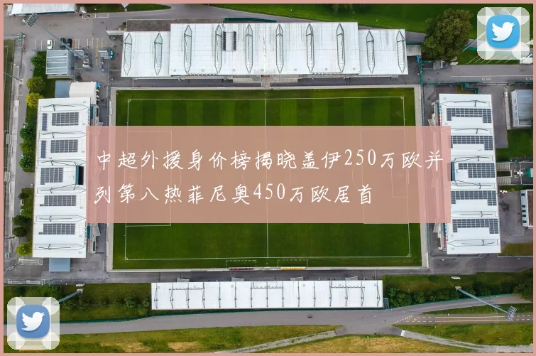 中超外援身价榜揭晓盖伊250万欧并列第八热菲尼奥450万欧居首